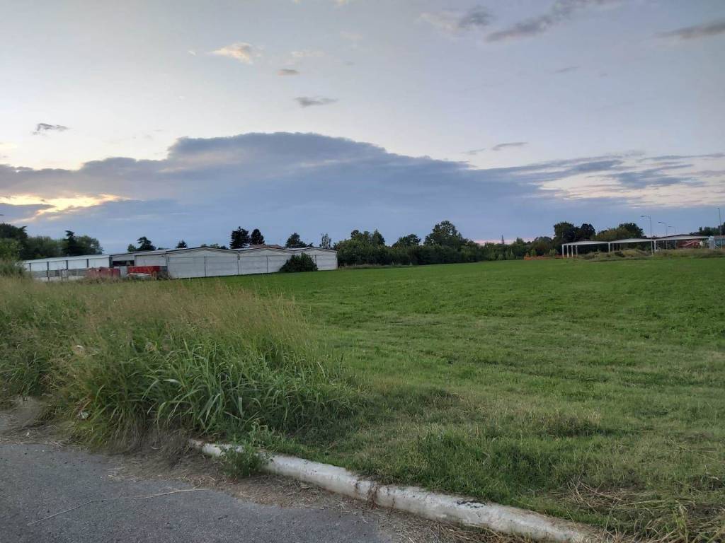 Terreno a Quistello - Foto 4