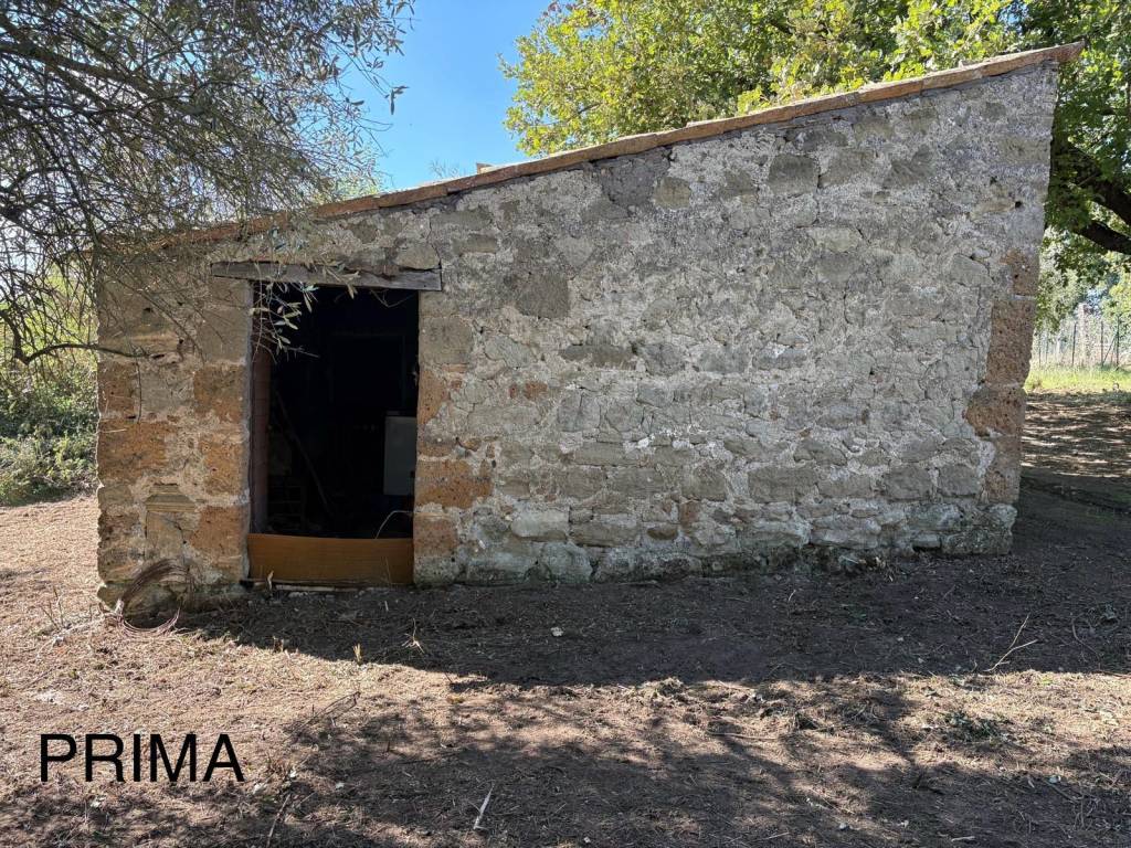 Immobile a Graffignano in località porcerro - Foto 3
