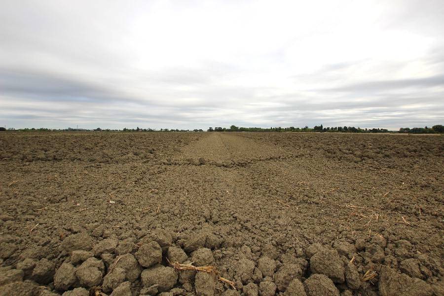 Terreno a Bologna in Via Punta, 13 - Foto 4