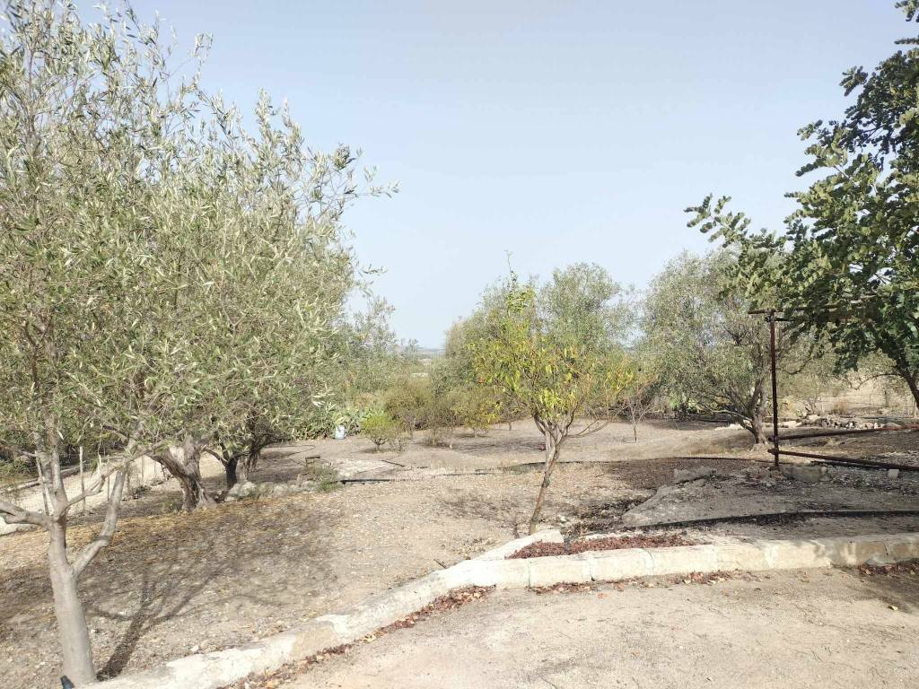 Terreno a Francofonte in C/DA MARGI - Foto 2