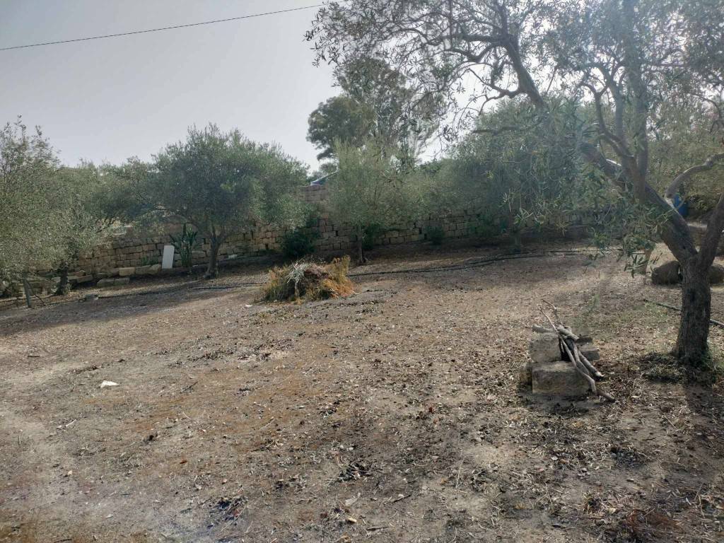 Terreno a Francofonte in C/DA MARGI - Foto 3