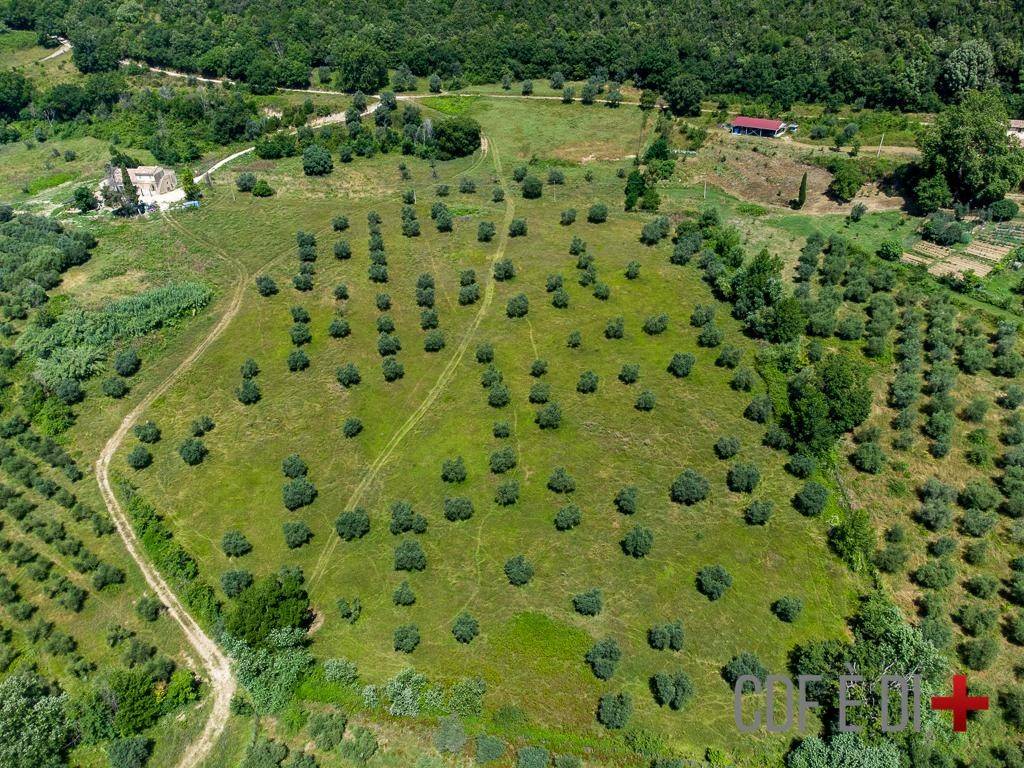 Terreno a Montopoli di sabina in Via Piedimonte - Foto 2