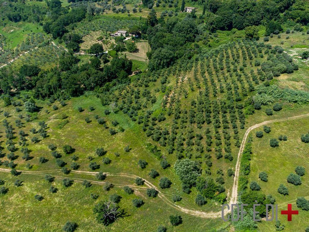 Terreno a Montopoli di sabina in Via Piedimonte - Foto 4
