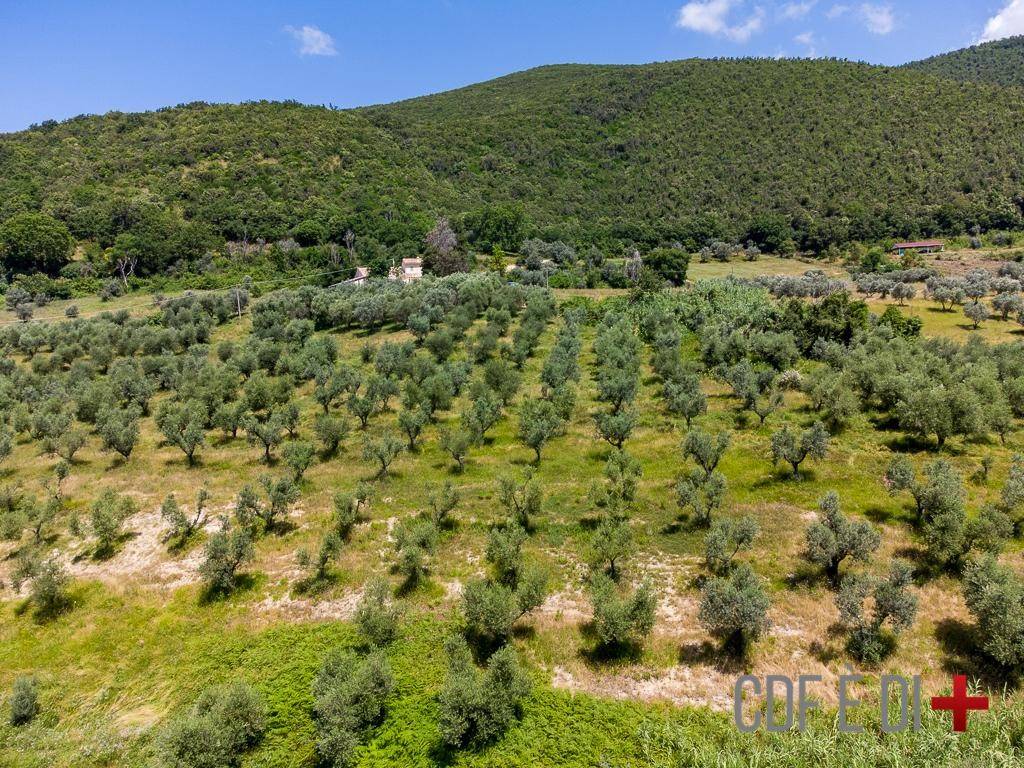 Terreno a Montopoli di sabina in Via Piedimonte - Foto 5