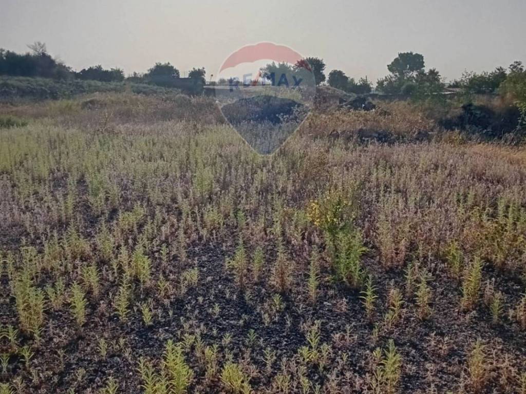 Terreno a Belpasso in via pantano - Foto 5