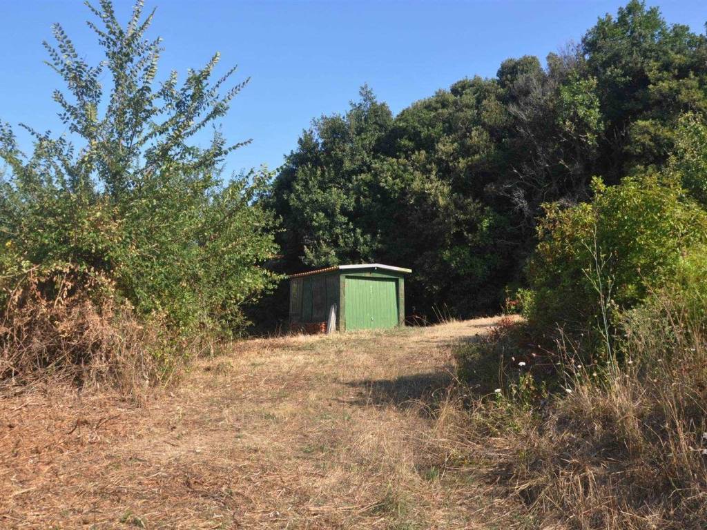 Terreno a Rosignano marittimo in Via Sgarallino - Foto 3