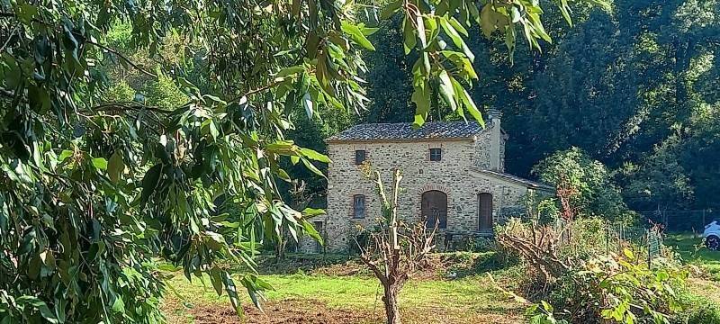 Rustico / casale a Castagneto carducci in Località Uccelliera - Foto 2