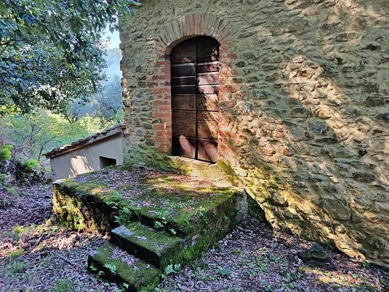 Rustico / casale a Castagneto carducci in Località Uccelliera - Foto 3