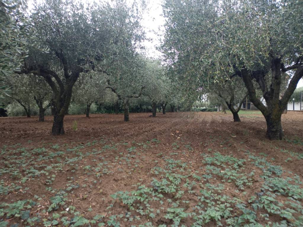 Villa a Piazza armerina in Contrada Polleri - Foto 4