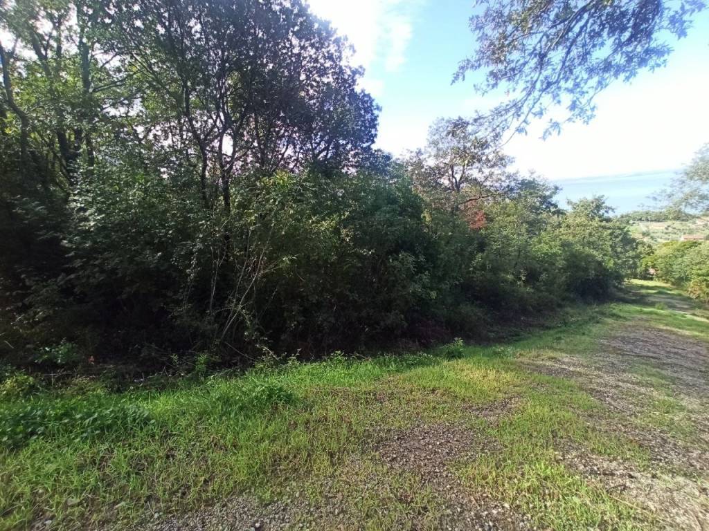 Terreno a Magione in Strada della Rocca - Foto 2