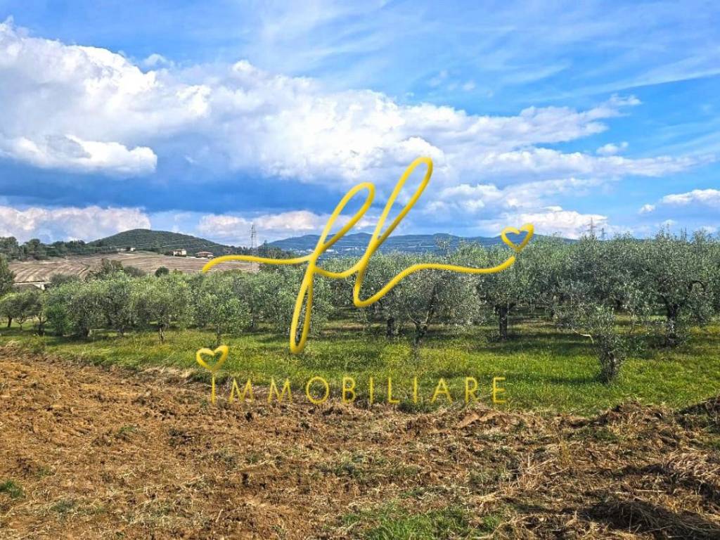 Terreno a Rosignano marittimo - Foto 2
