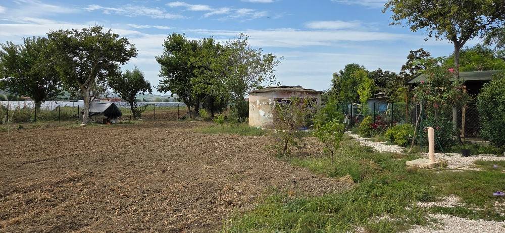 Rustico / casale a Mondolfo in Via Cesanense, 43 - Foto 3