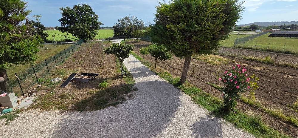 Rustico / casale a Mondolfo in Via Cesanense, 43 - Foto 4