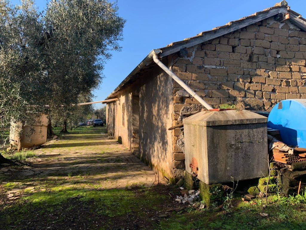 Rustico / casale a Cisterna di latina in Via Giulio II - Foto 2