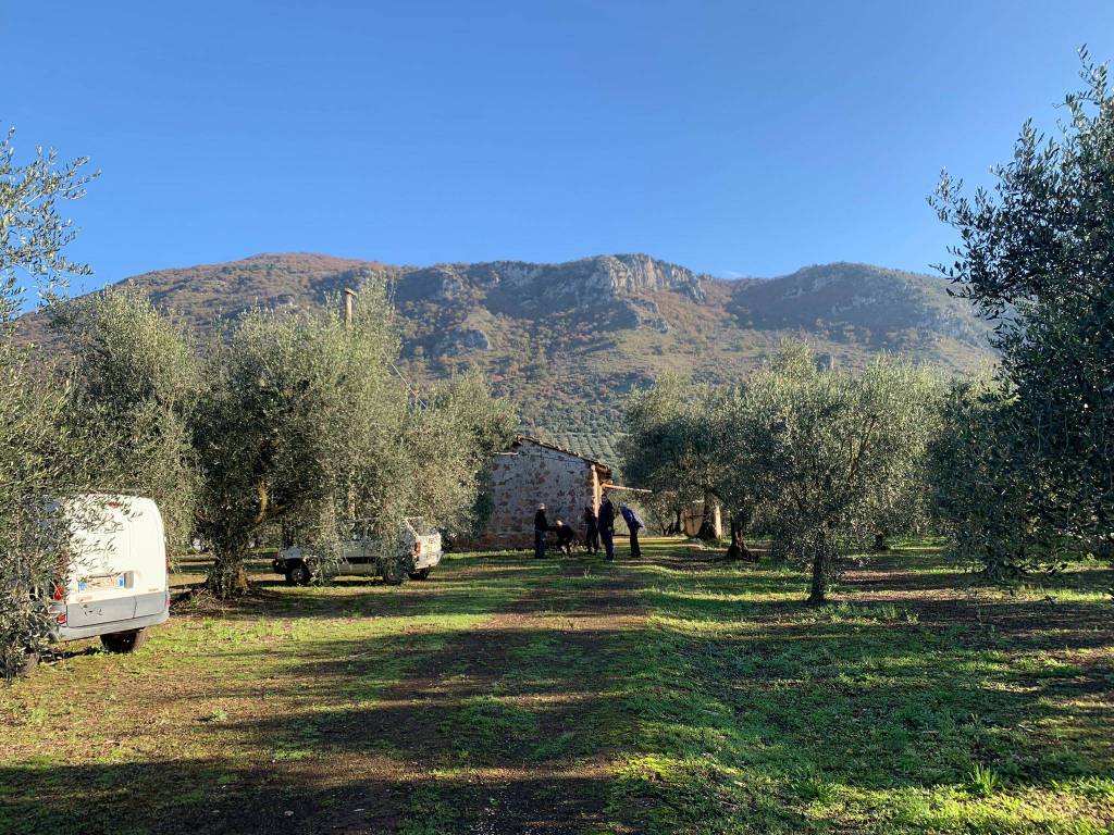 Rustico / casale a Cisterna di latina in Via Giulio II - Foto 4