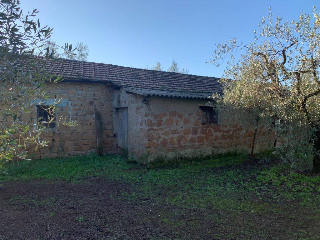 Rustico / casale a Cisterna di latina in Via Giulio II - Foto 5