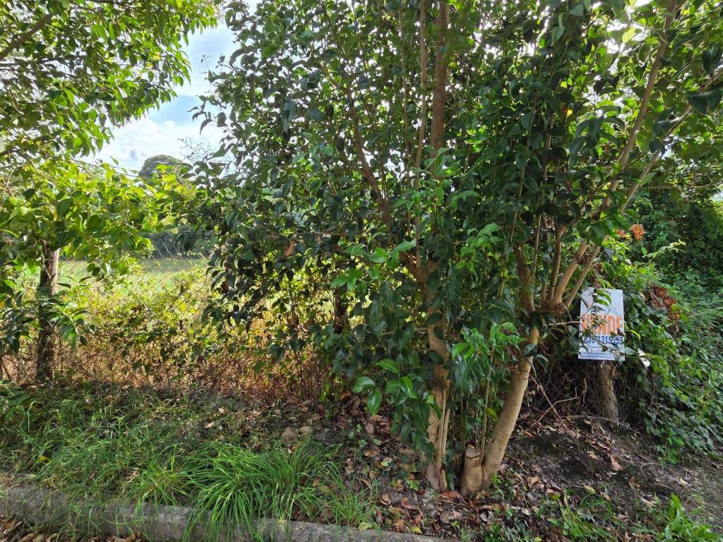 Terreno a Palestrina in Via Taglie le Grotte - Foto 2