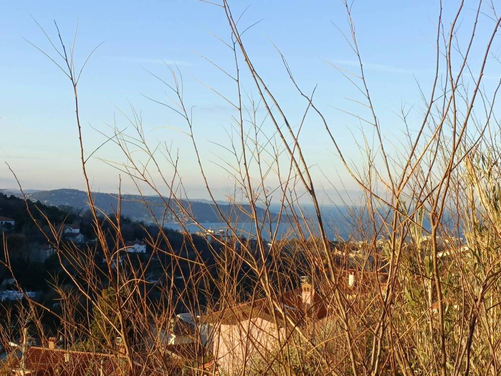 Terreno a Trieste - Foto 5