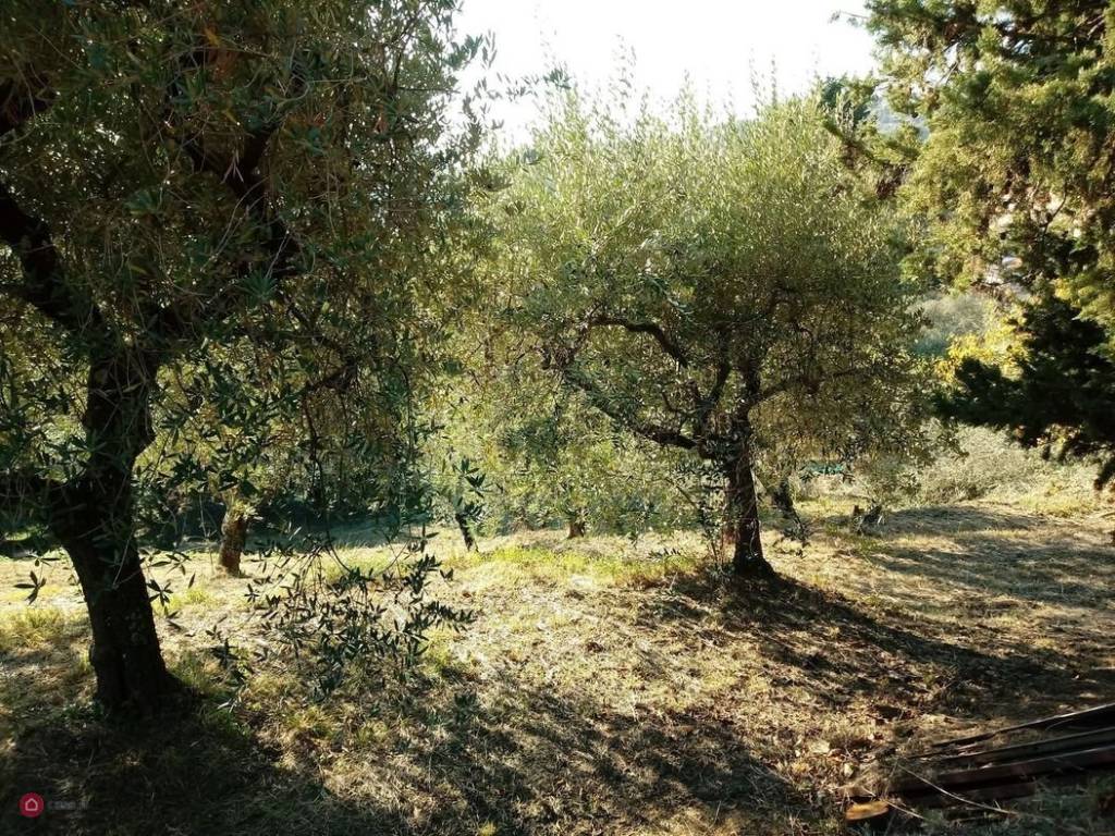 Villa a Massarosa - Foto 5