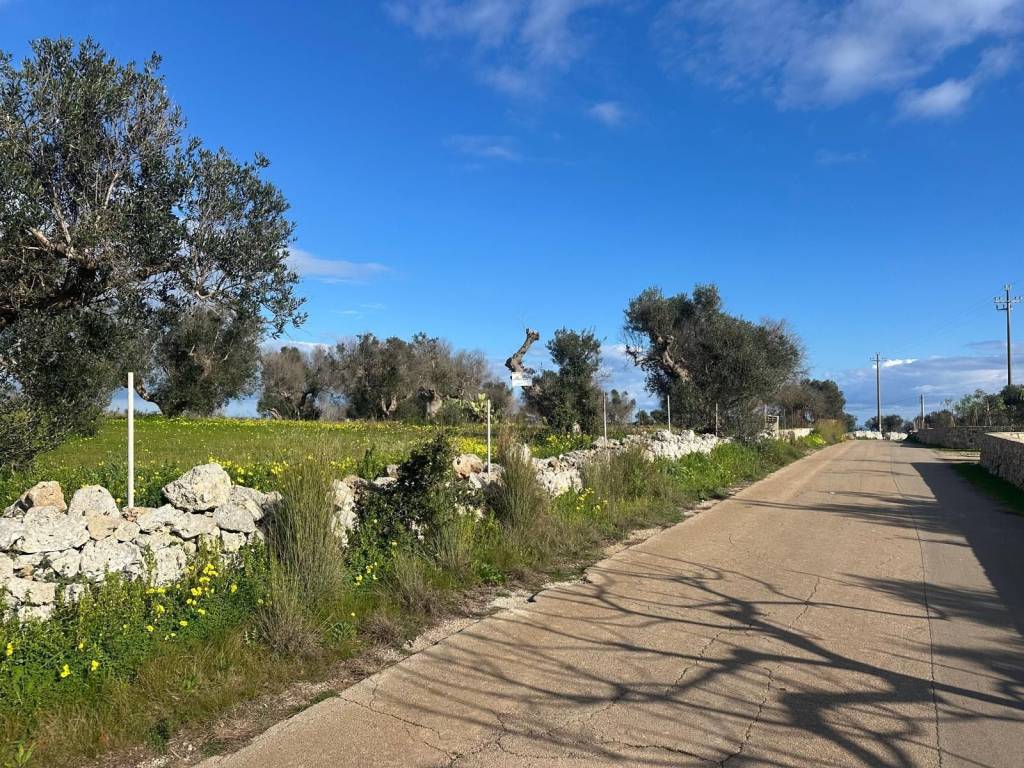 Terreno a Corsano in Strada Colosso - Foto 4