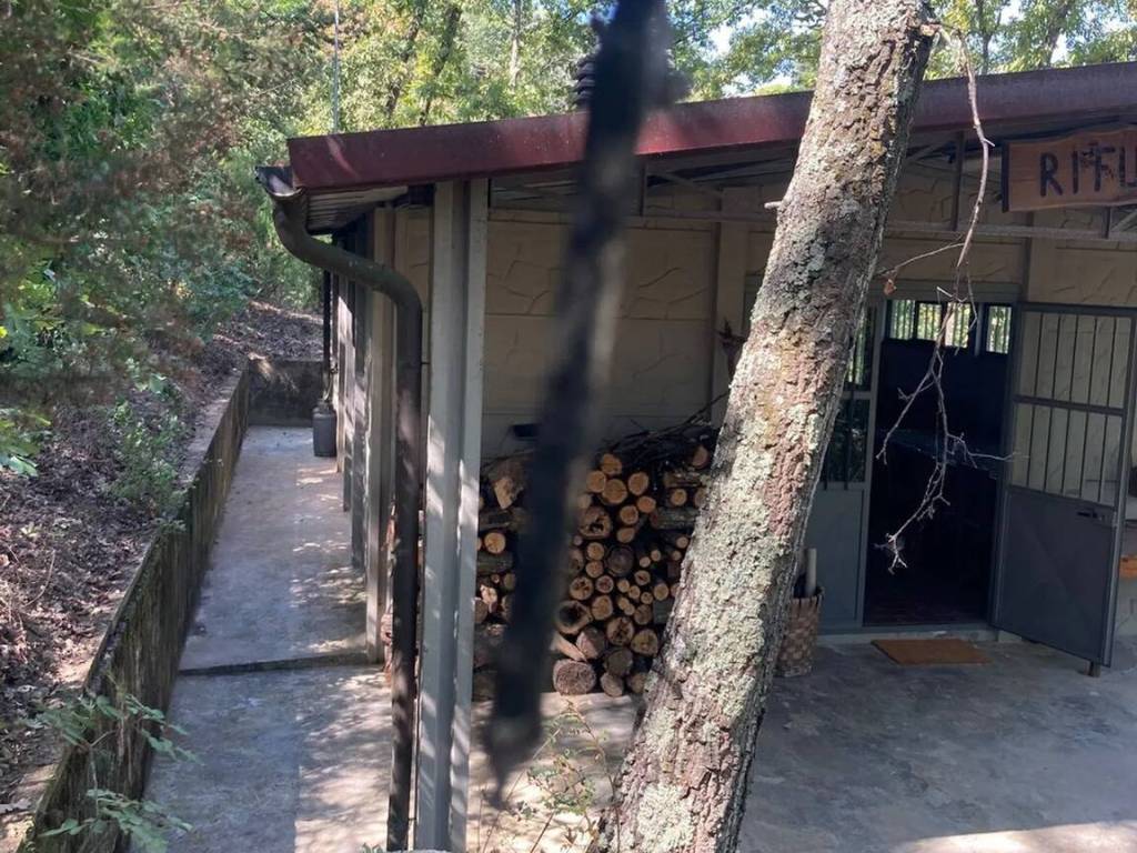 Terreno a Carmignano - Foto 3