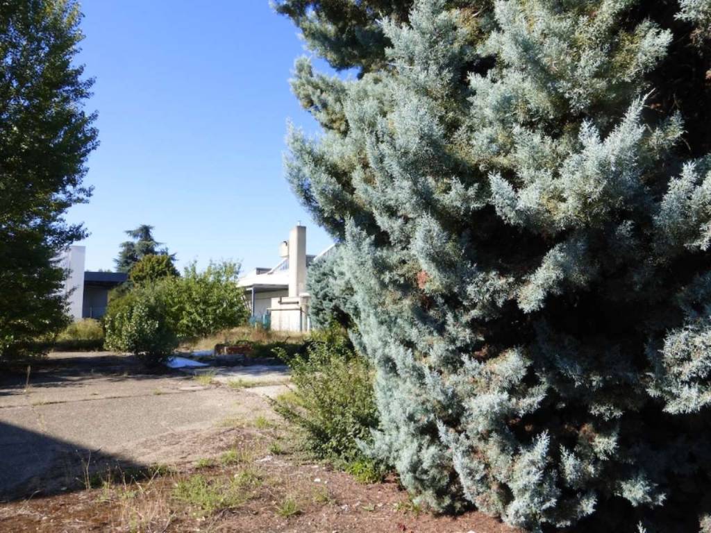 Terreno a San lazzaro di savena in via Remigia - Foto 5