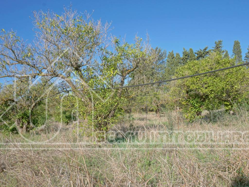 Terreno a Monastir in SS130dir - Foto 4