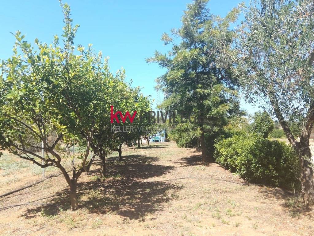 Terreno a Latiano - Foto 3