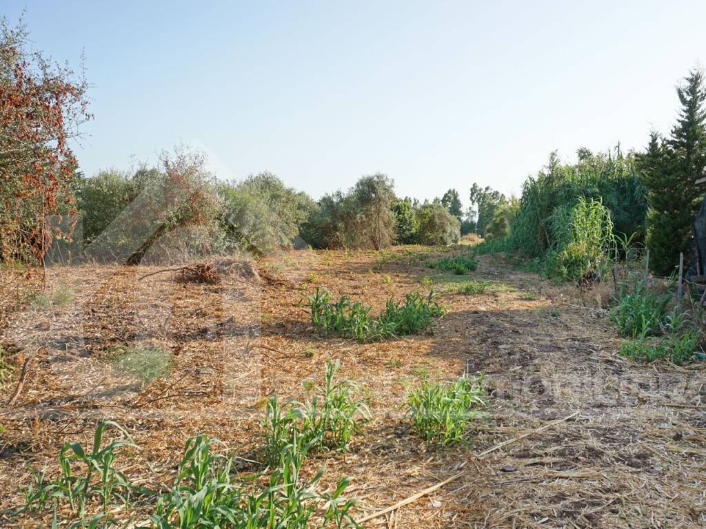 Terreno a Monastir in Via Palermo - Foto 3
