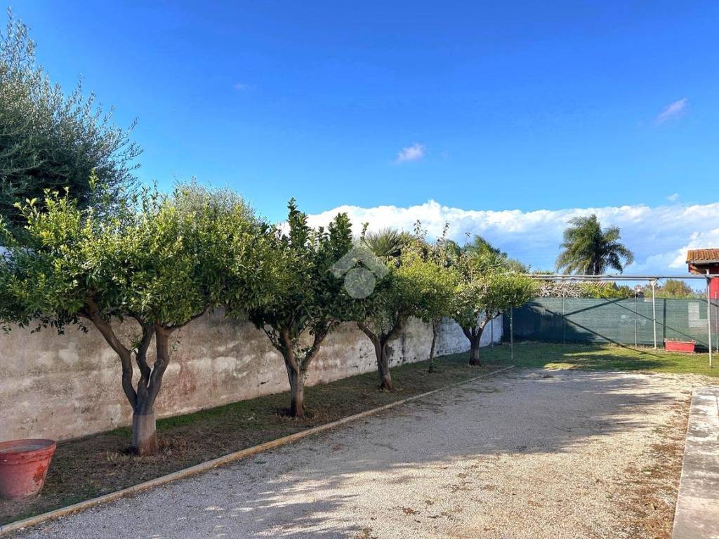 Villa a San felice circeo in Via Regina Elena, 162 - Foto 3