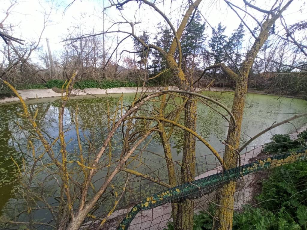 Immobile a Castiglione del lago in Via Roma - Foto 2