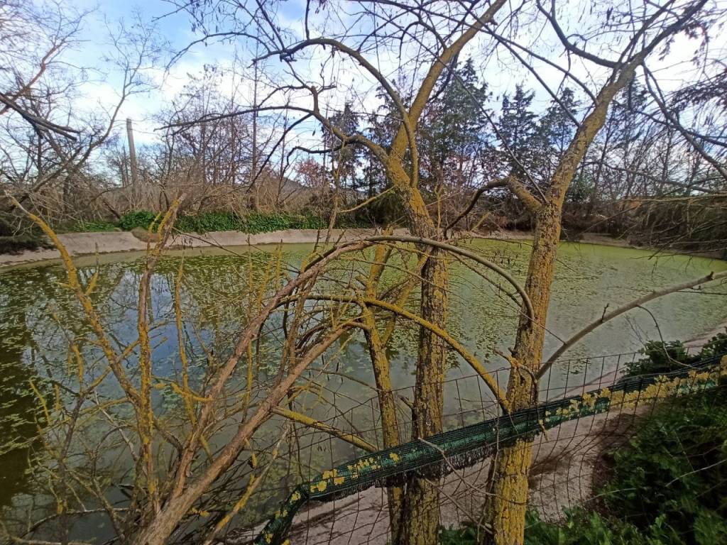 Immobile a Castiglione del lago in Via Roma - Foto 4