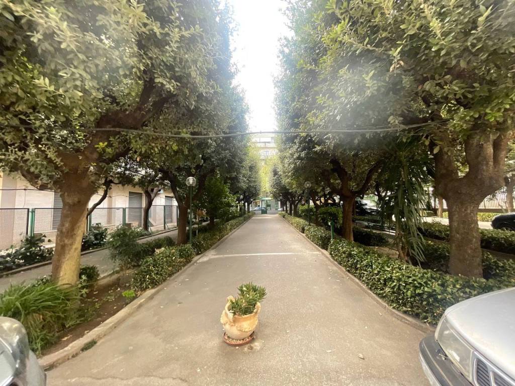 Appartamento a Cerignola in Corso Aldo Moro, 139 - Foto 2
