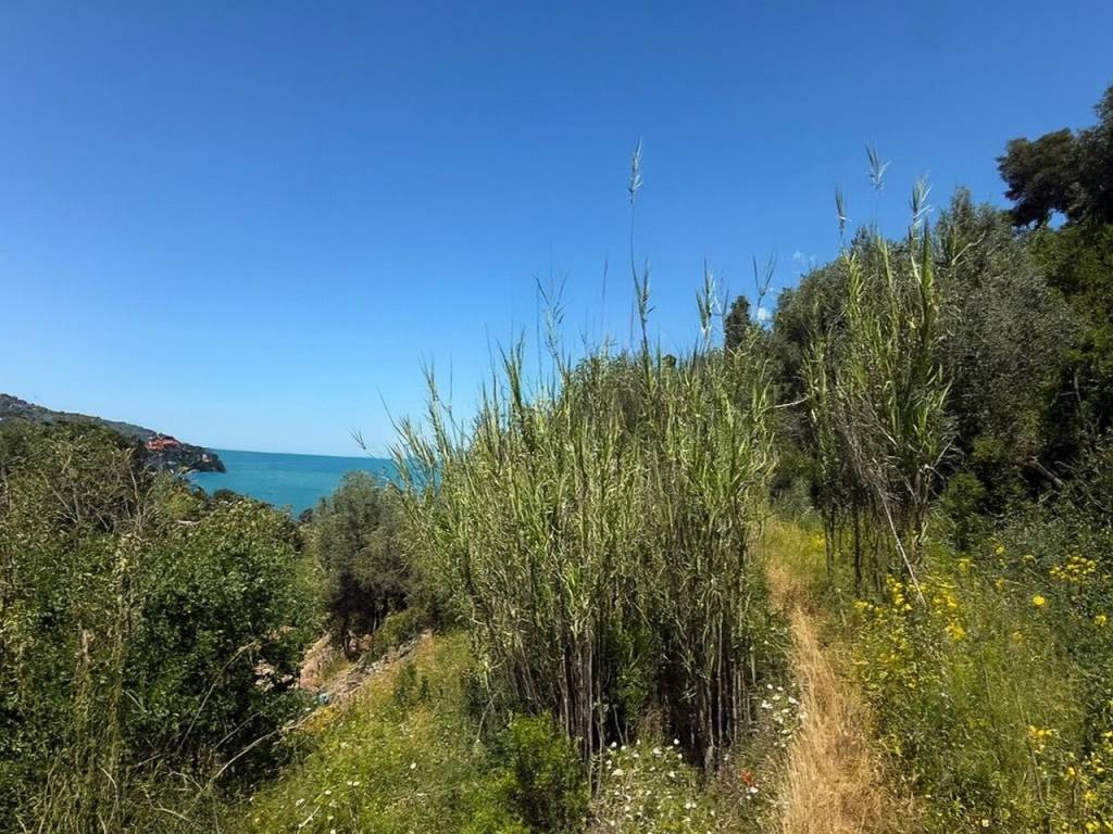 Rustico / casale a Monte argentario in Località Pianone - Foto 3