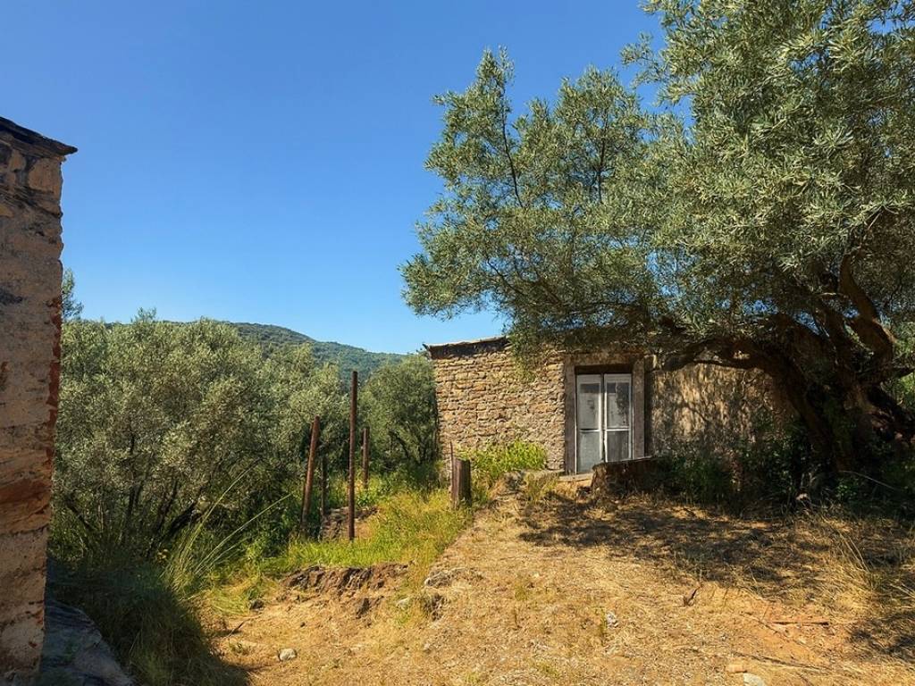 Rustico / casale a Monte argentario in Località Pianone - Foto 4