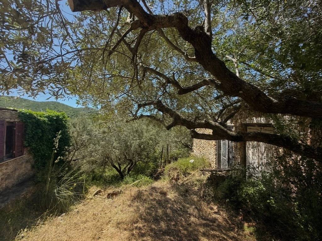 Rustico / casale a Monte argentario in Località Pianone - Foto 5