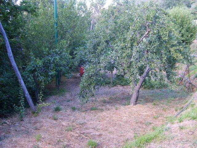 Rustico / casale a Apricale - Foto 3