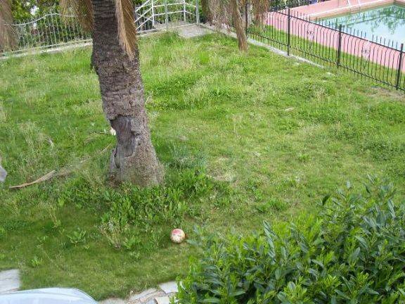 Villa a Ventimiglia - Foto 3