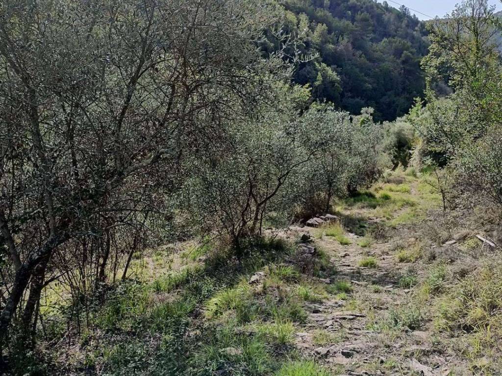 Rustico / casale a Apricale in Vernunte - Foto 5