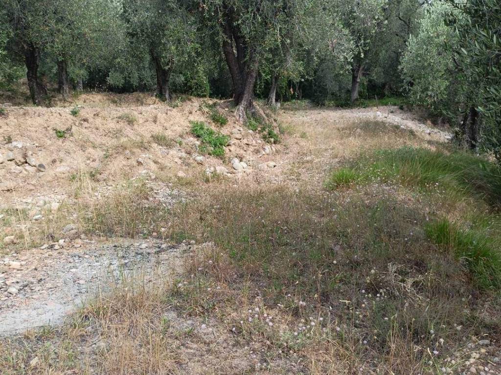 Terreno a Camporosso in STRADA DEGLI OLANDESI - Foto 3