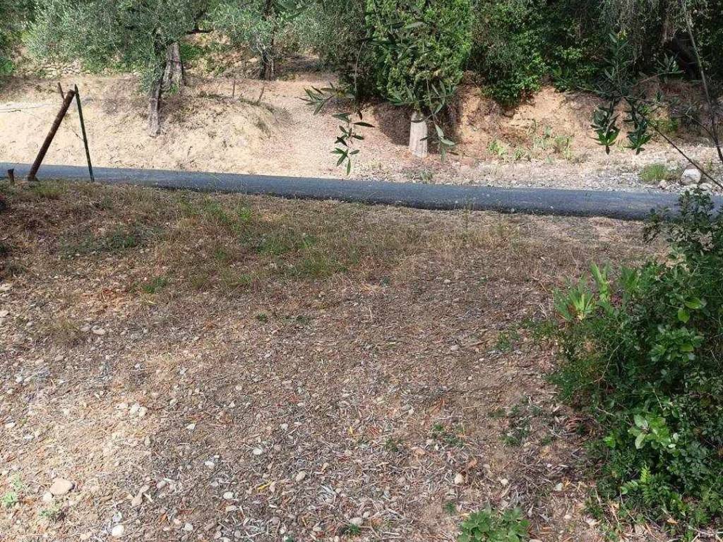 Terreno a Camporosso in STRADA DEGLI OLANDESI - Foto 4