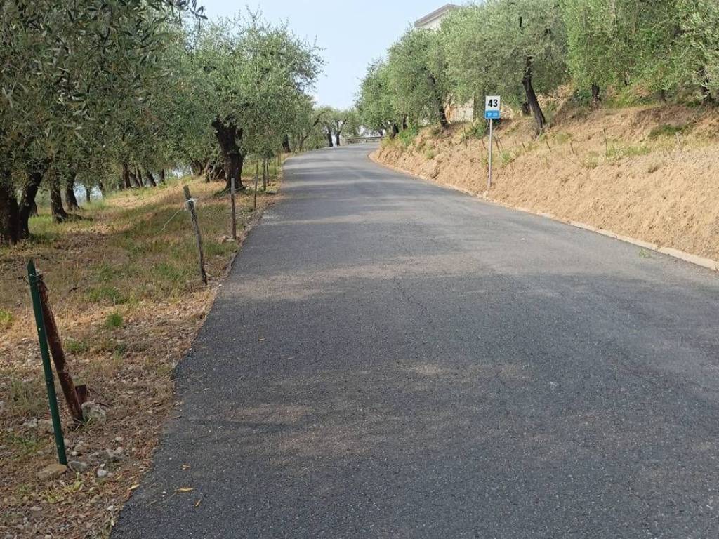 Terreno a Camporosso in STRADA DEGLI OLANDESI - Foto 5