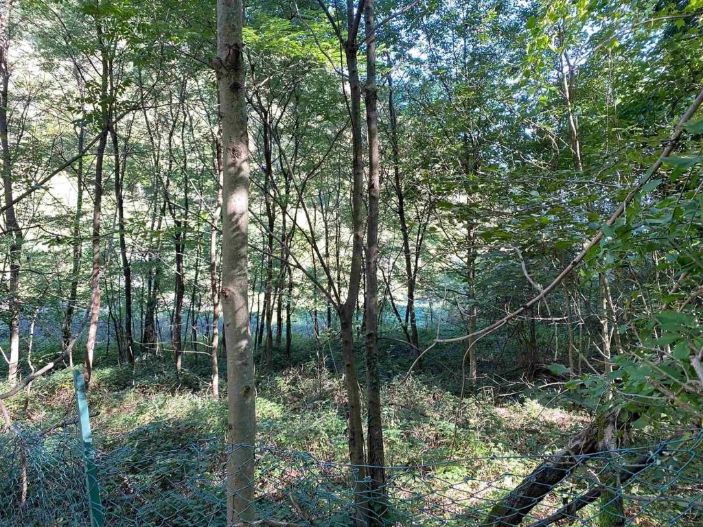 Terreno a Colico - Foto 4