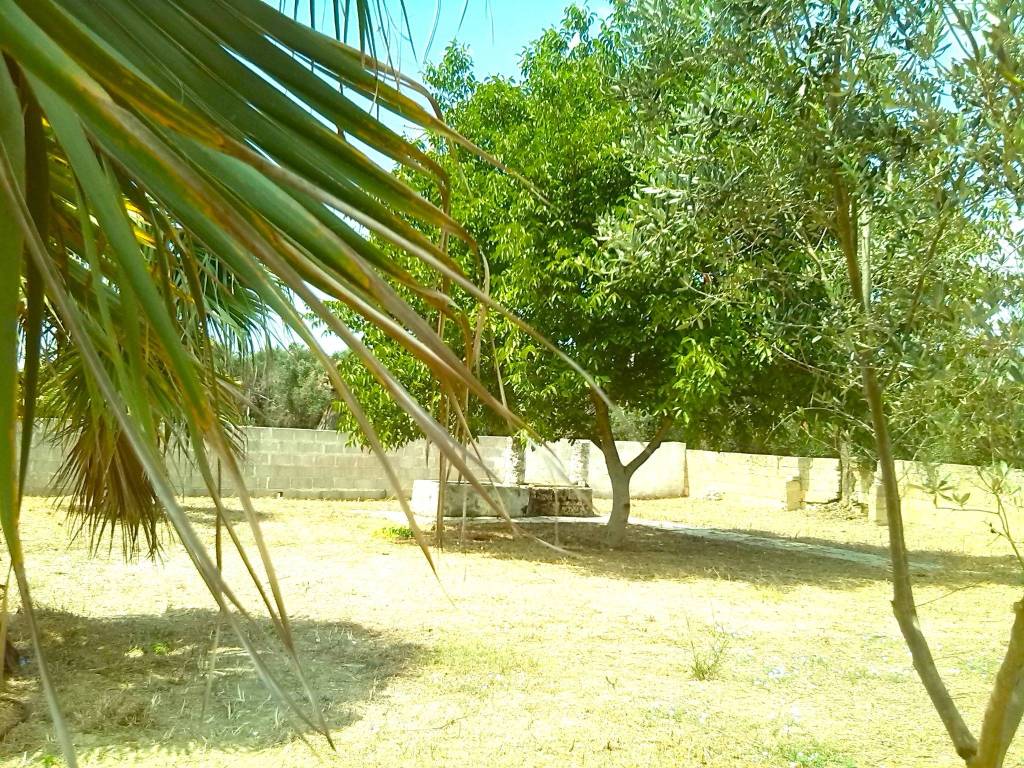 Villa a Matino in Strada Vicinale Cucci - Foto 3