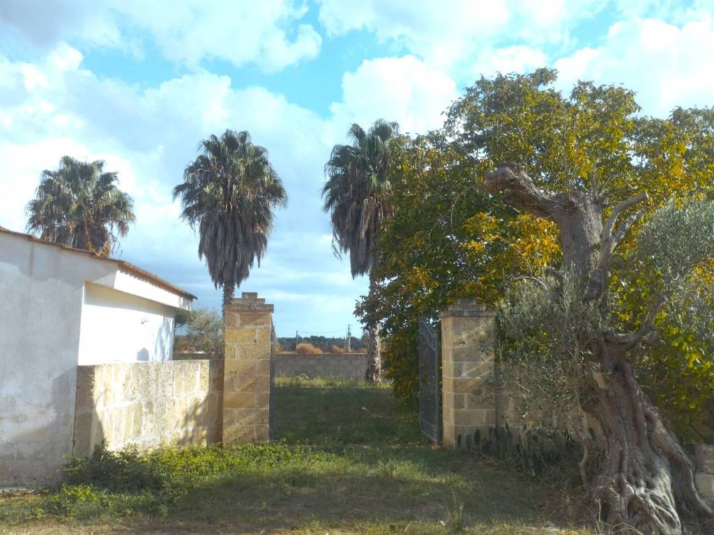 Villa a Matino in Strada Vicinale Cucci - Foto 5
