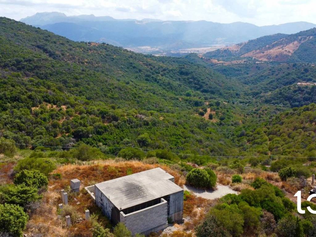 Terreno a Torpè - Foto 5