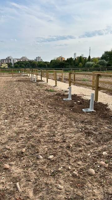 Terreno a Verona - Foto 3