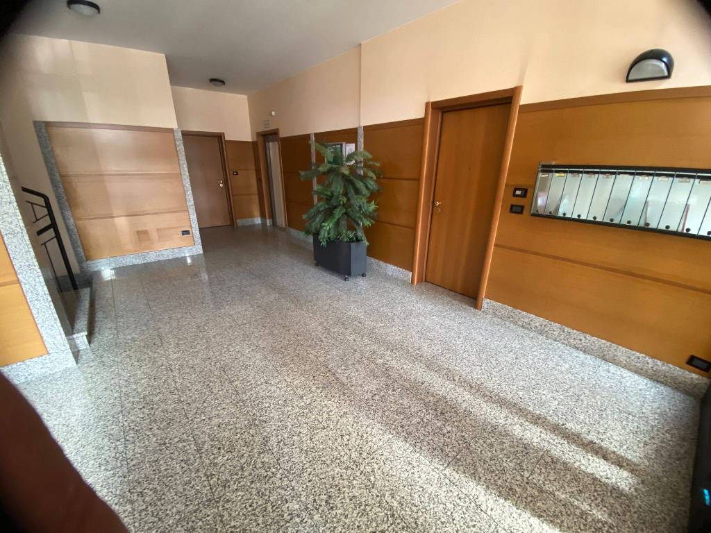 Appartamento a Collegno in Via Risorgimento - Foto 3