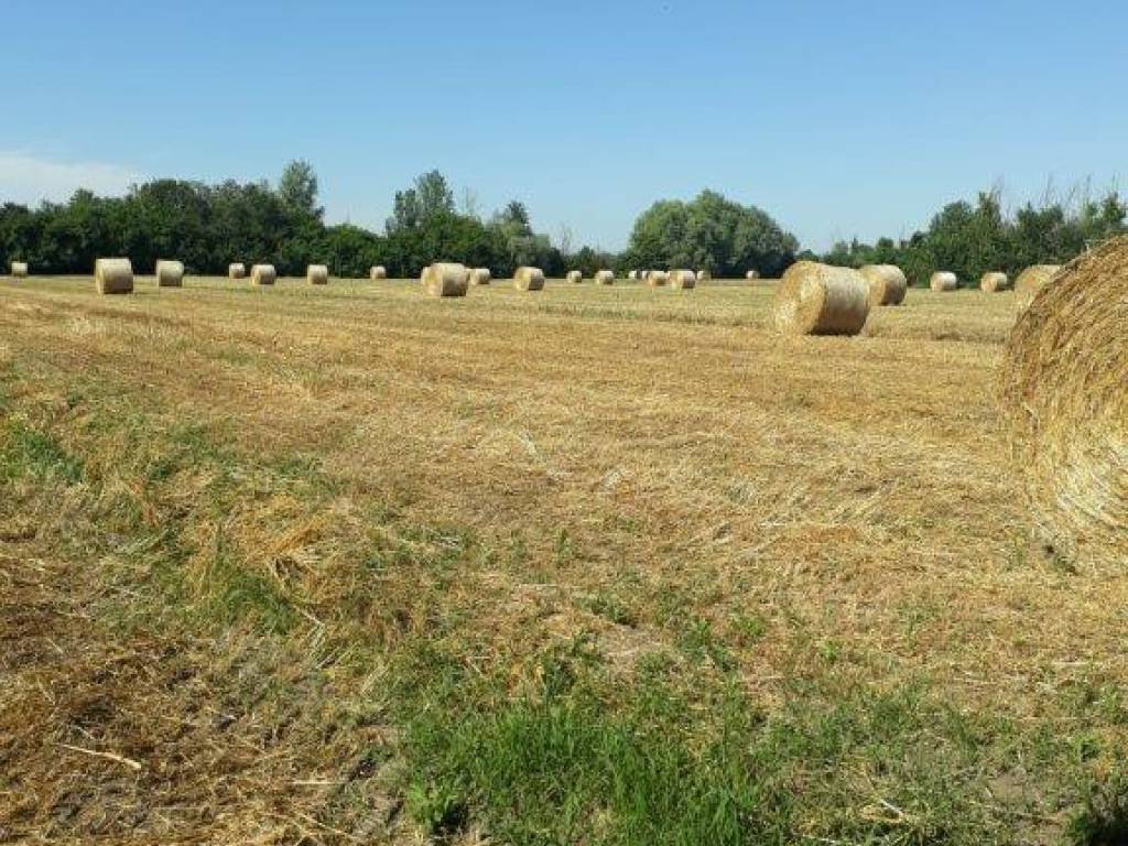 Terreno a Campogalliano in Strada Provinciale di Campogalliano - Foto 4