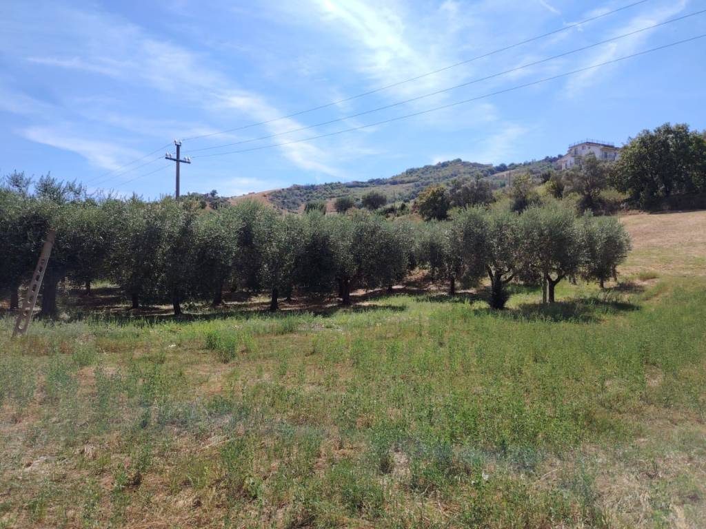 Terreno a Colonnella in Via Vallecupa - Foto 2